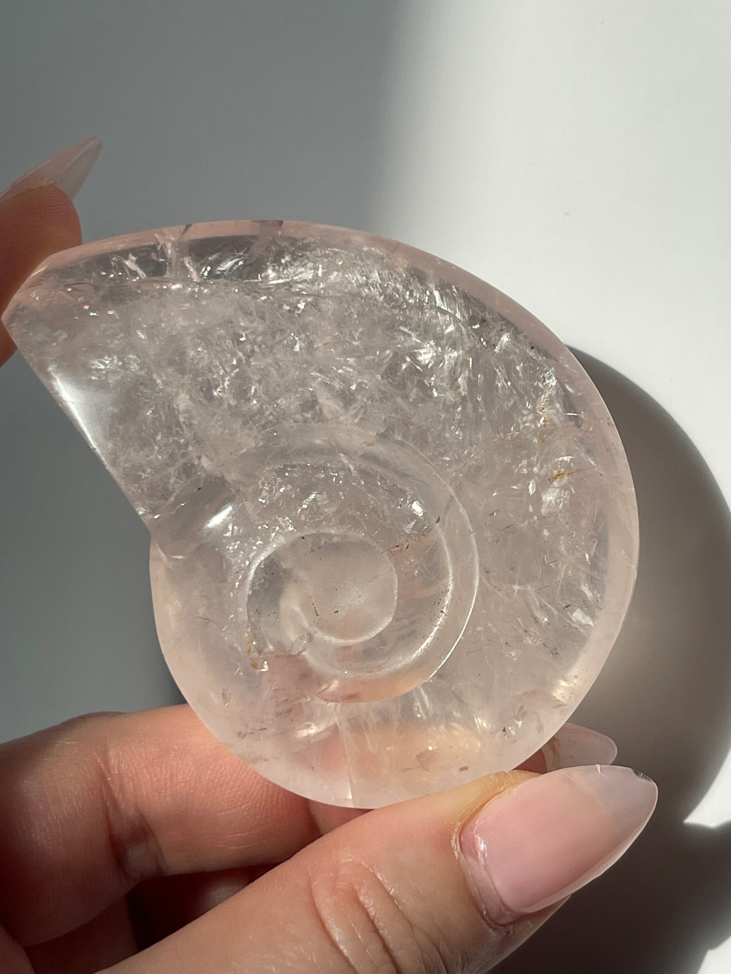 Rose Quartz Shell Carving
