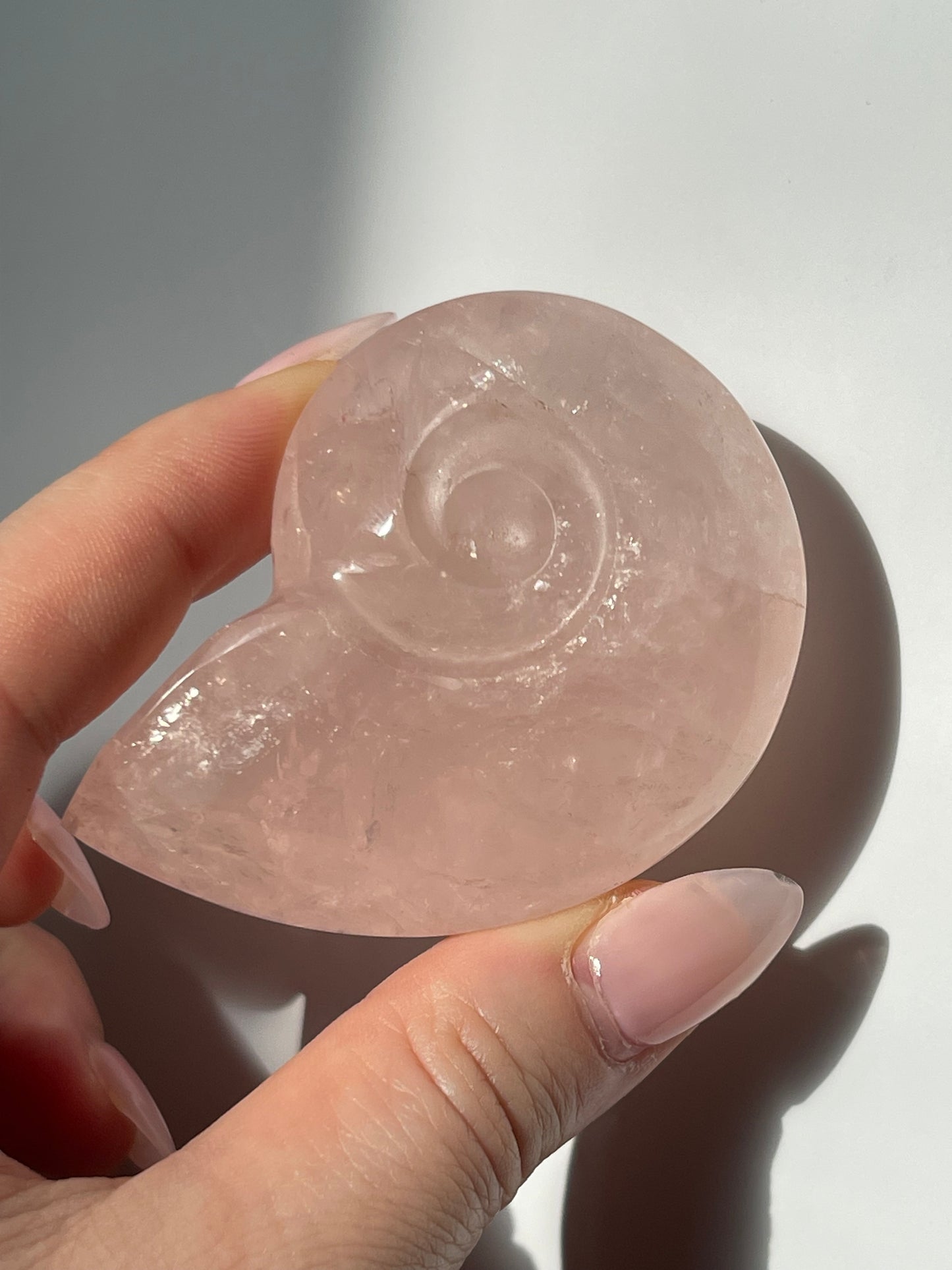 Rose Quartz Shell Carving