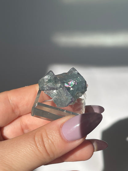 Yaogangxian Green Cubic Fluorite with Hairline Rutile - 14 grams