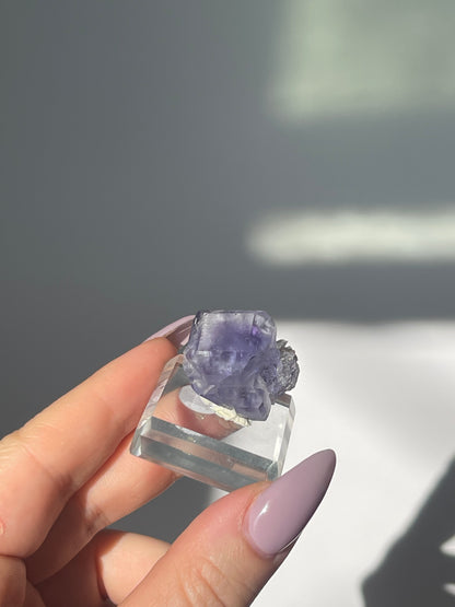 Fujian Purple Bevel Edge Flourite - 12 grams