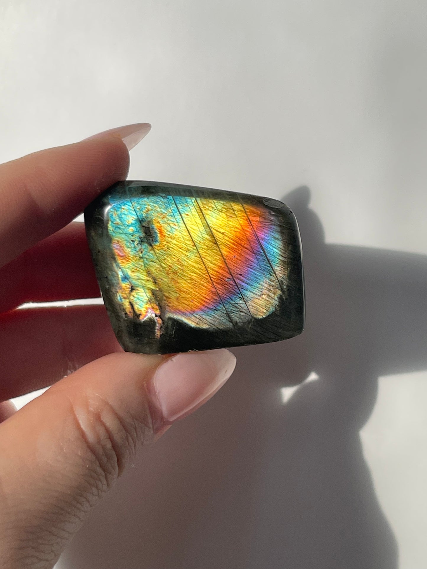 Labradorite Mini Freeform