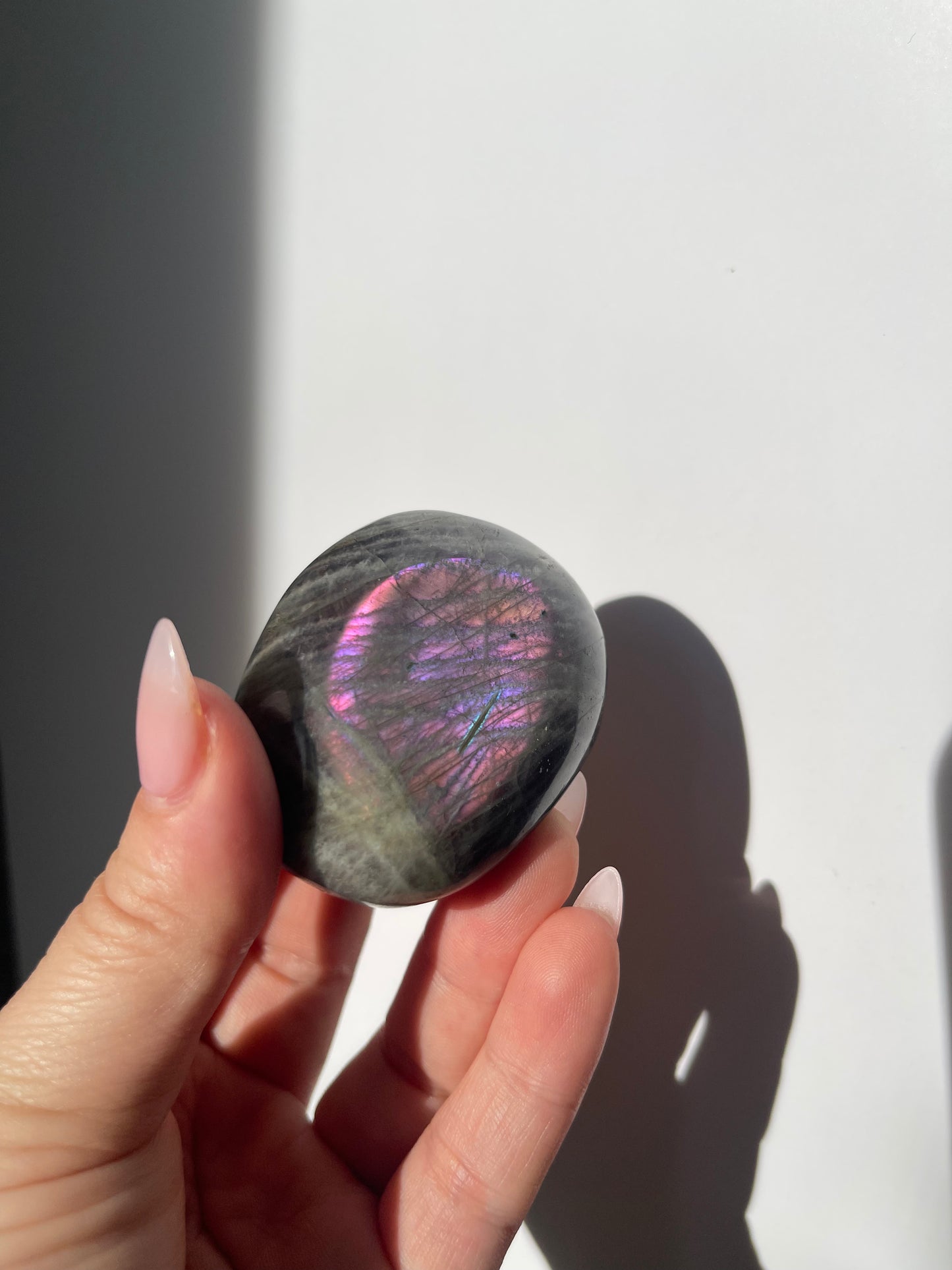 Labradorite Palm - Pink/Purple