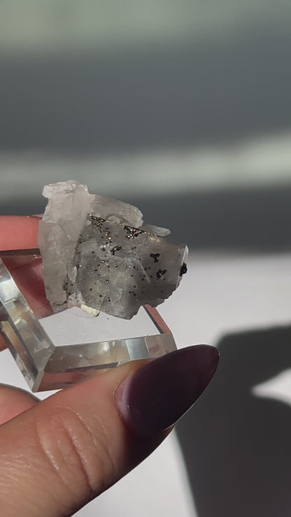 Yaogangxian Fluorite with Pyrite Coating/Quartz - 15 grams