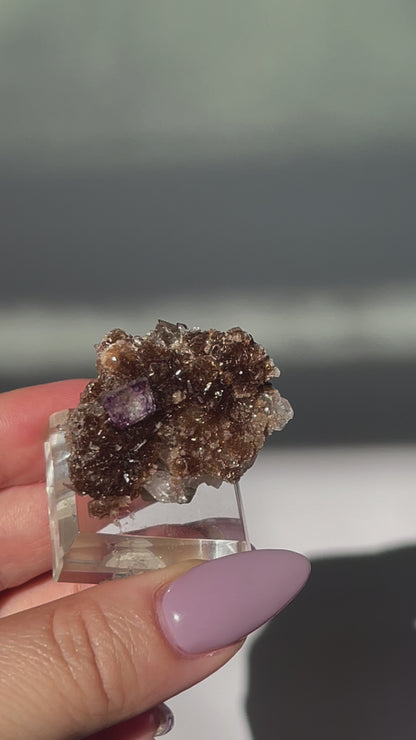 Yaogangxian Brown Calcite with Window Pane Fluorite Cube/Quartz - 21 grams
